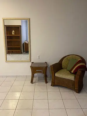 Living Room - Next to Central Hallway